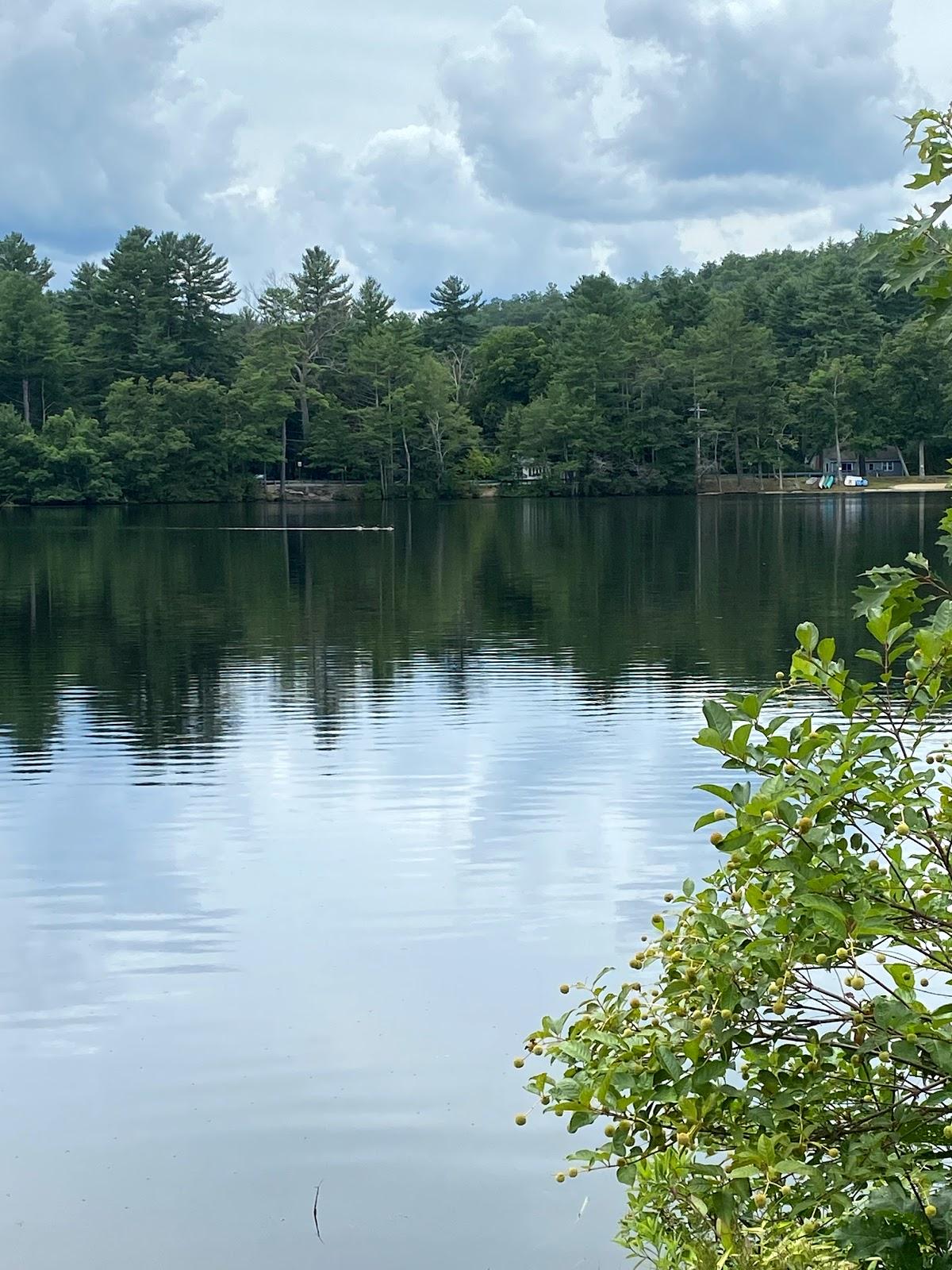 Sandee - Belchertown Town Beach