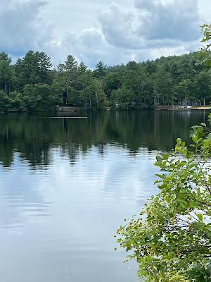 Sandee - Belchertown Town Beach