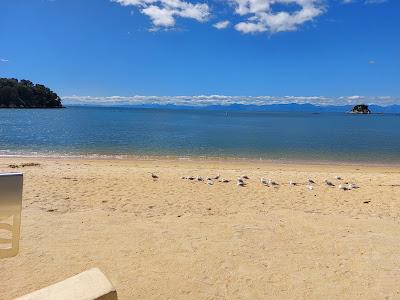 Sandee - Totaranui Bay Beach