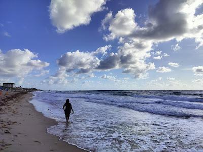 Sandee - Ocean Ridge Hammock Park