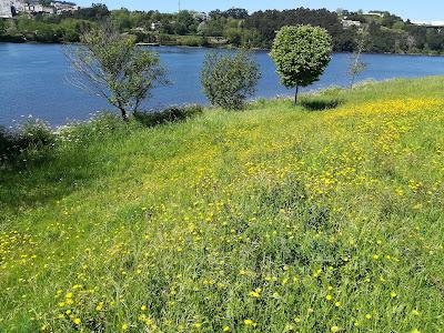 Sandee - Fluvial Do Gramido Beach