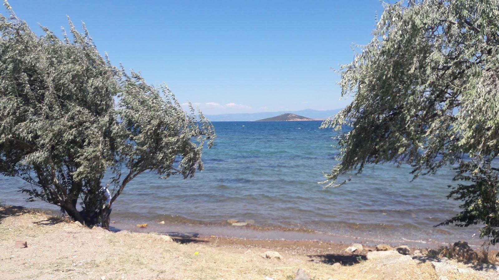 Sandee - HomePage / Balikesir