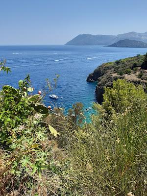 Sandee - La Forbice Beach