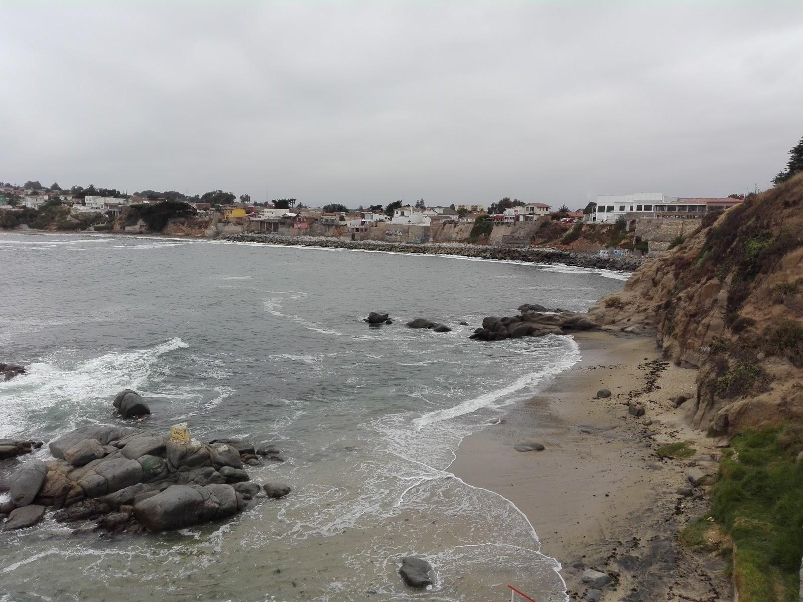 Sandee Burrito Beach