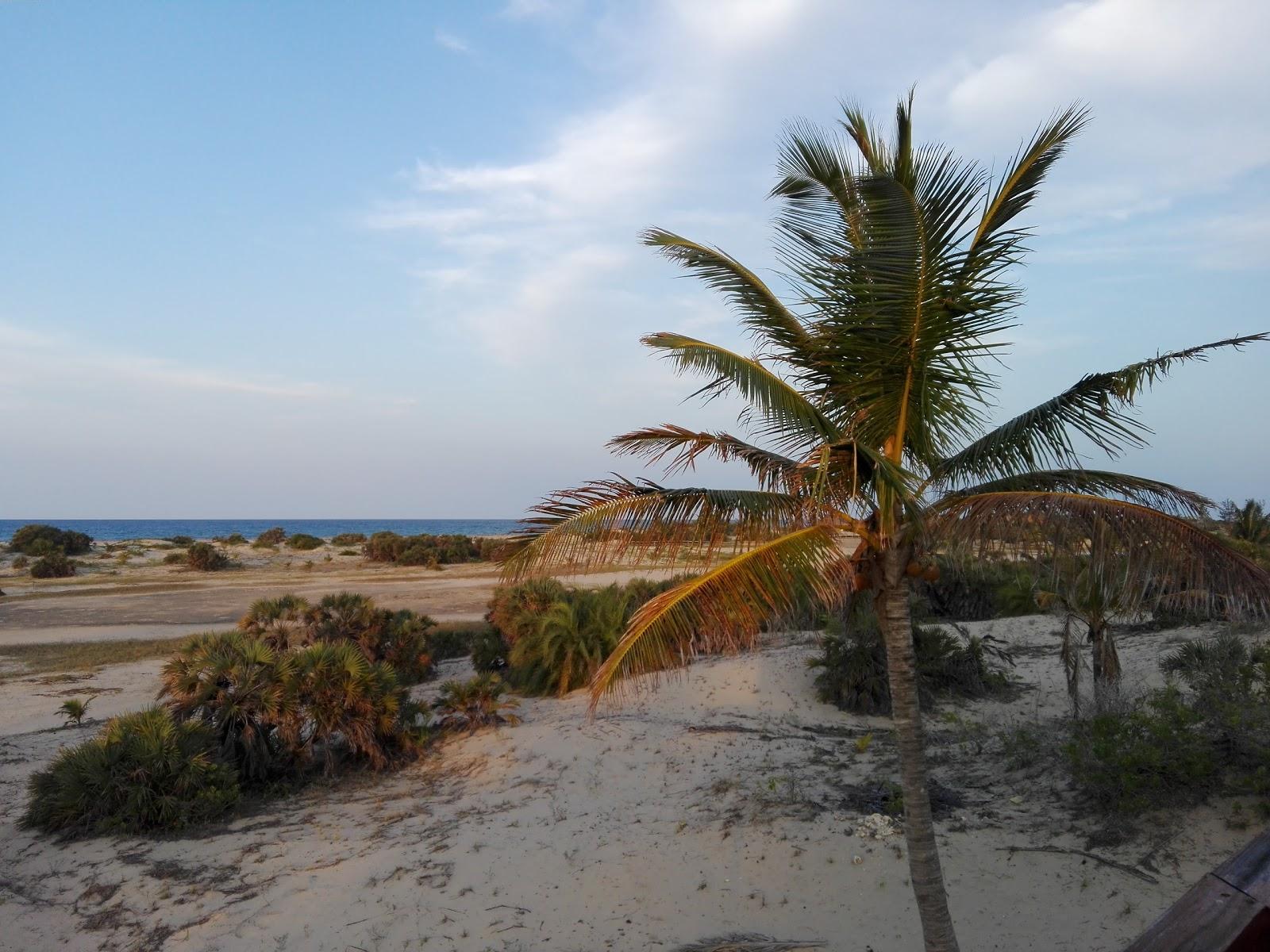 Sandee Karula Sands