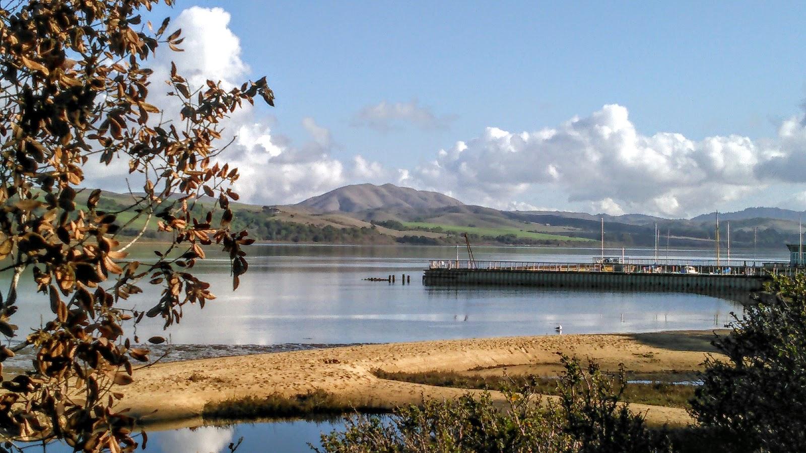 Sandee - Chicken Ranch Beach