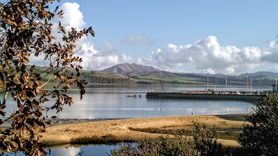 Sandee - Chicken Ranch Beach