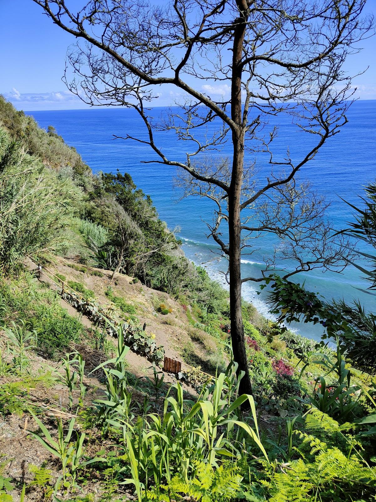 Sandee - Praia Da Amora