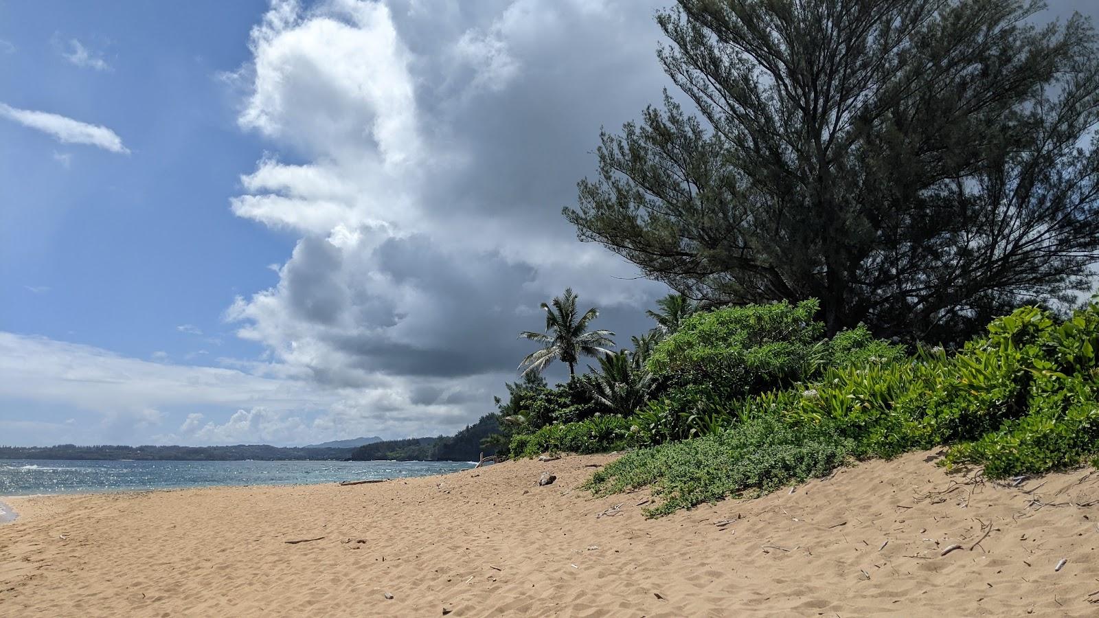 Sandee - Kepuhi Beach