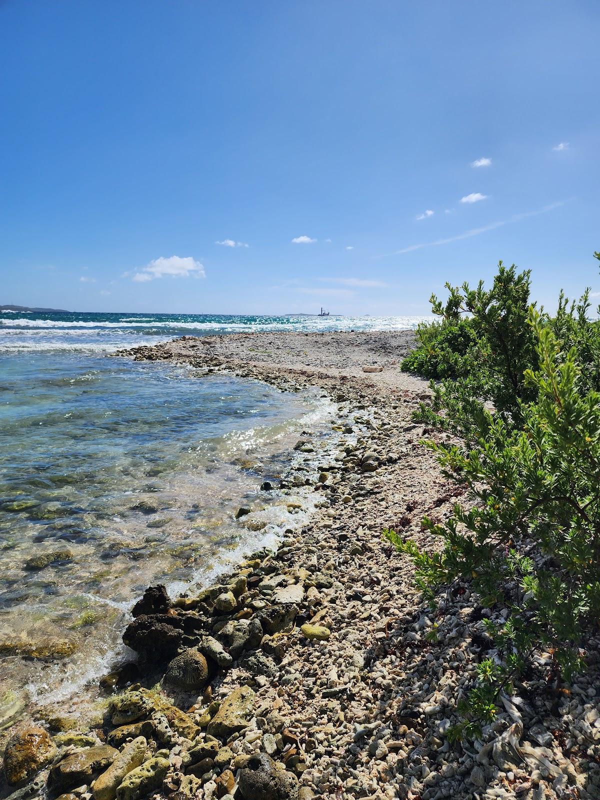 Sandee - Limestone Beach