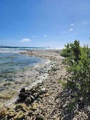 Sandee - Limestone Beach