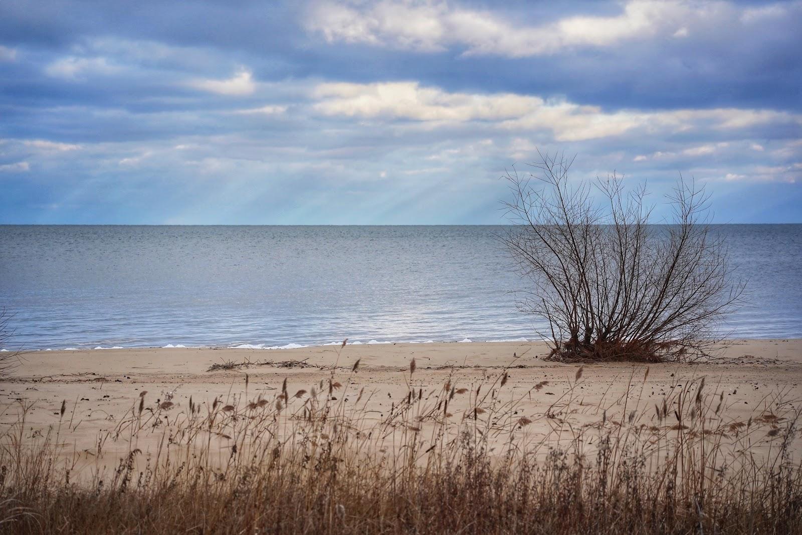 Sandee - Bay City State Recreation Area