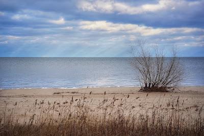 Sandee - Bay City State Recreation Area