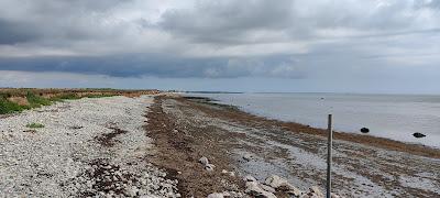 Sandee - Ballygrangans Bay Beach