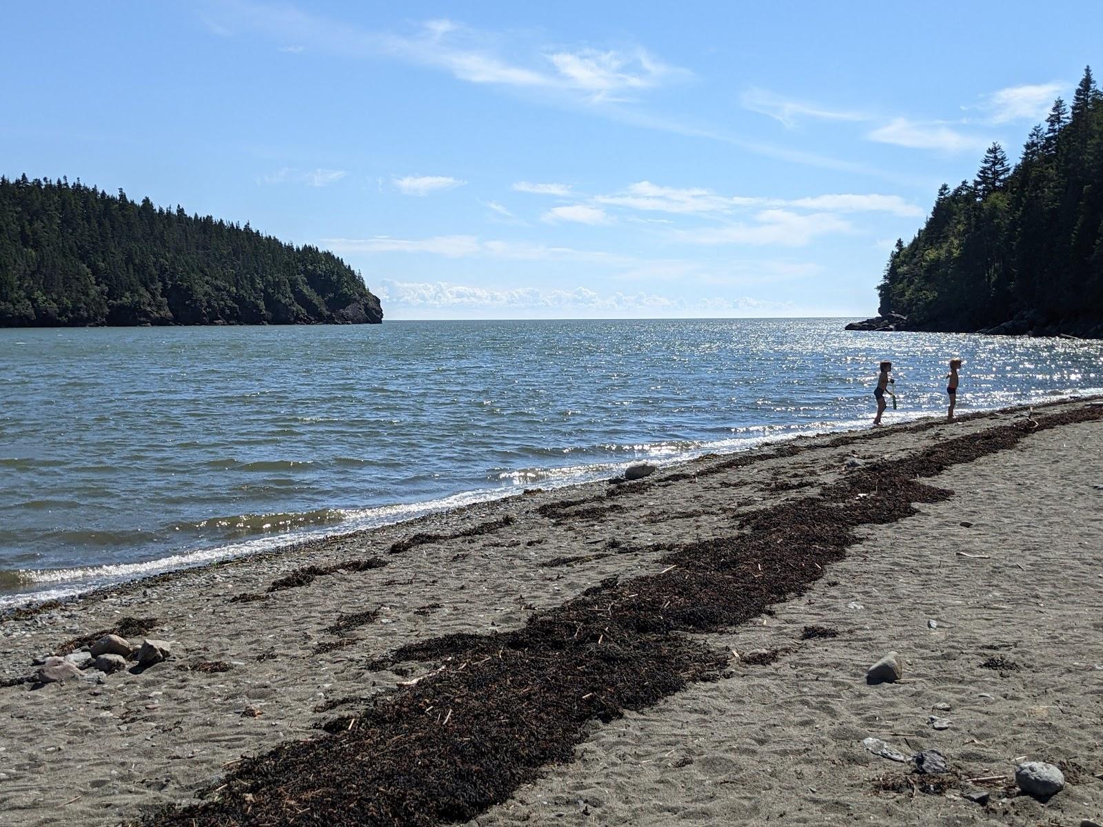 Sandee Point Wolfe Beach