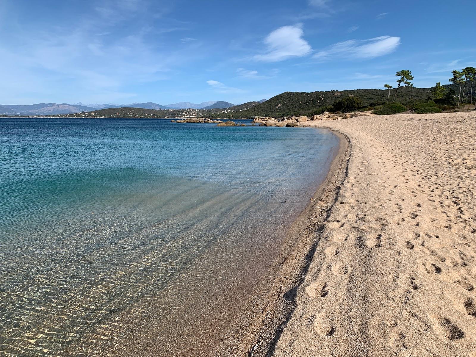 Sandee Plage De Verghia Photo