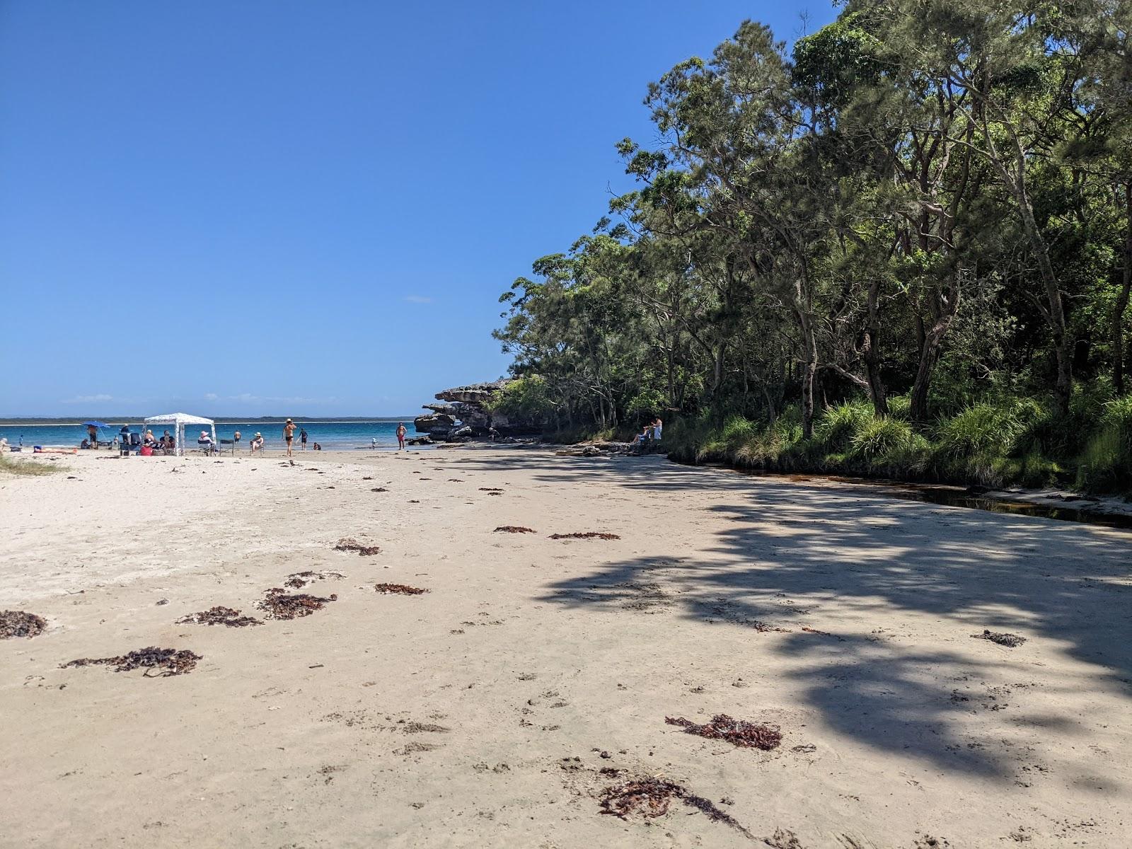 Sandee Abrahams Bosom Beach Photo