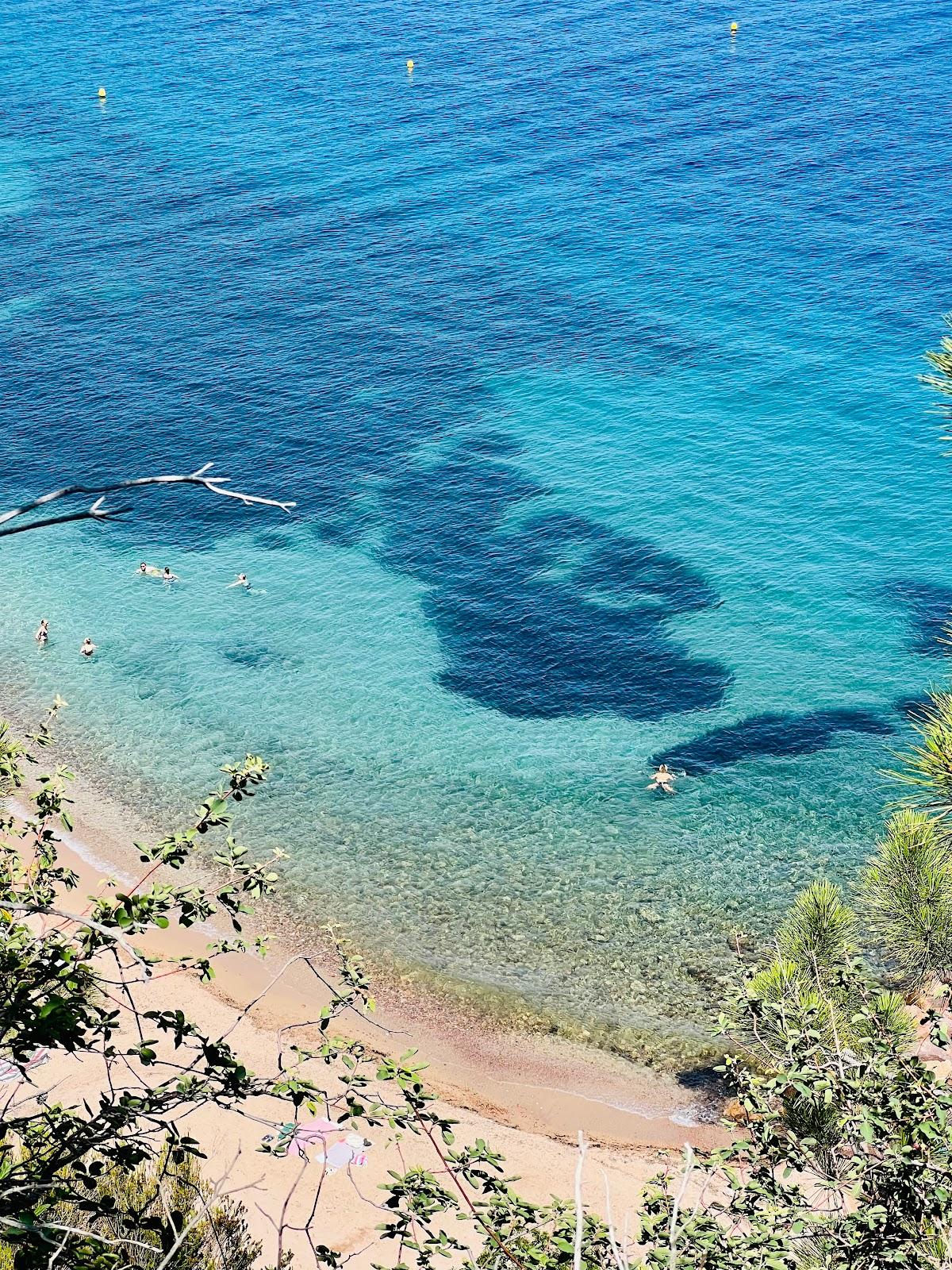 Sandee - Plage De L'Aiguille