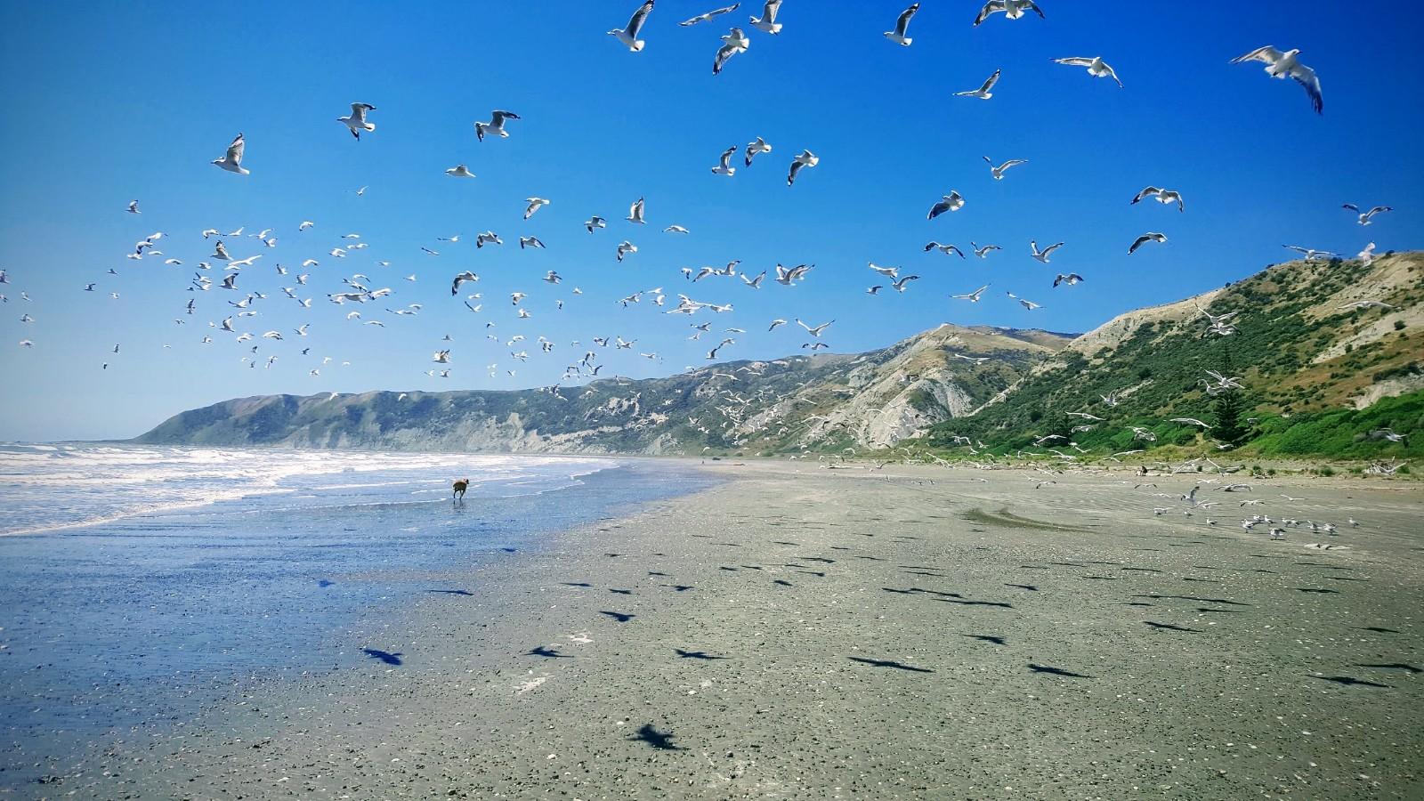 Sandee Cape Campbell Photo