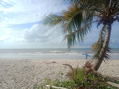 Sandee - Tungau Beach