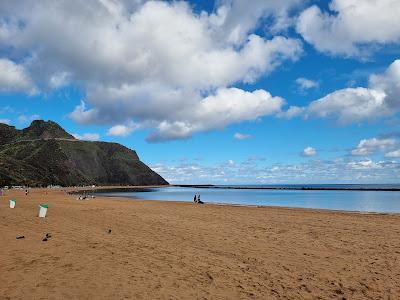 Sandee - Playa De Las Gaviotas