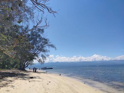 Sandee - Tanjung Ngalo Mamuju