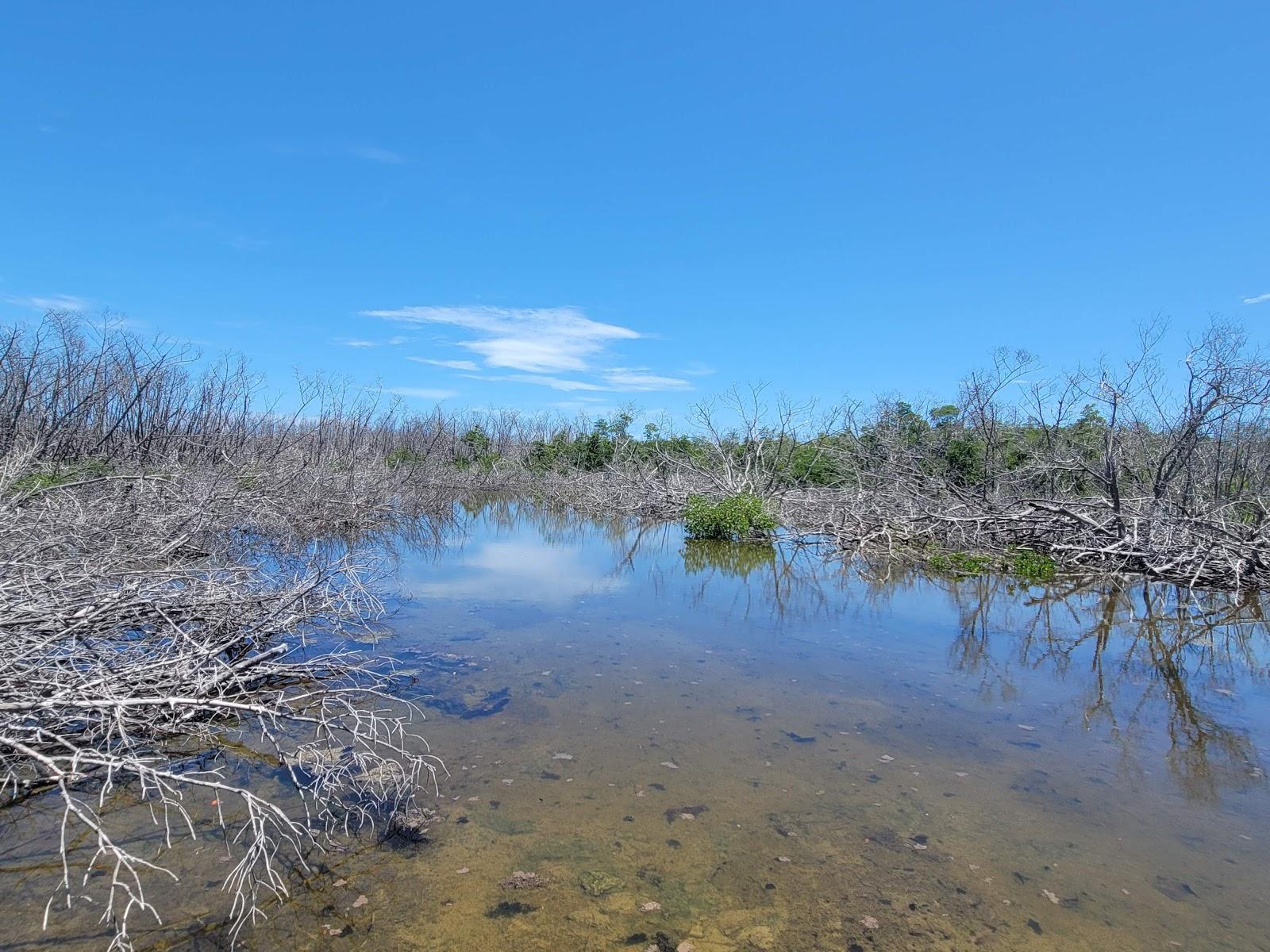 Sandee - Long Key State Park