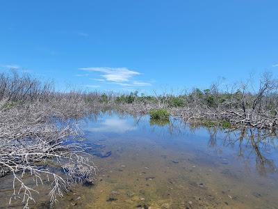 Sandee - Long Key State Park