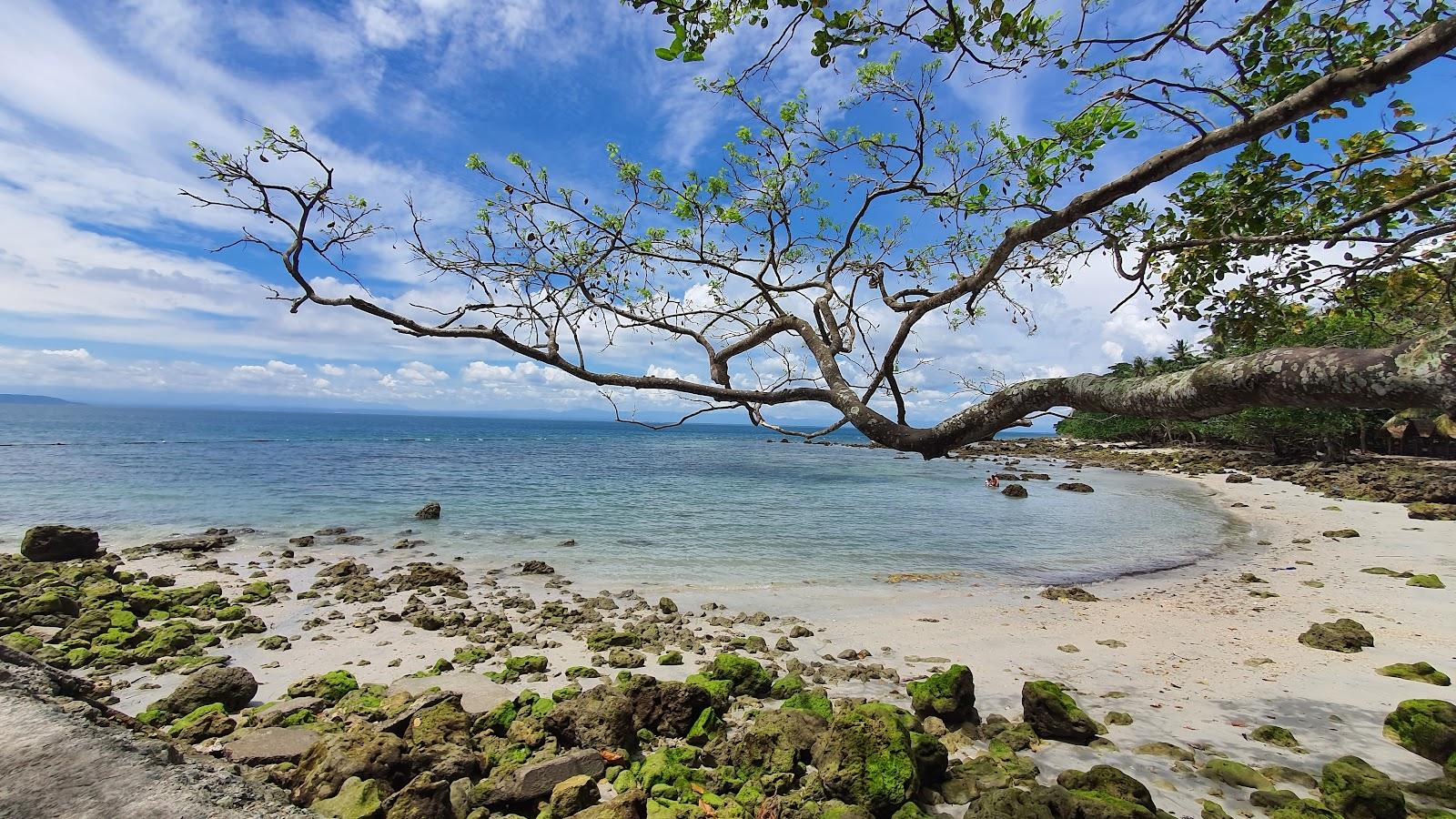 Sandee White Beach Resort - Tagnanan