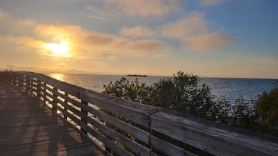 Sandee - Fort Island Beach