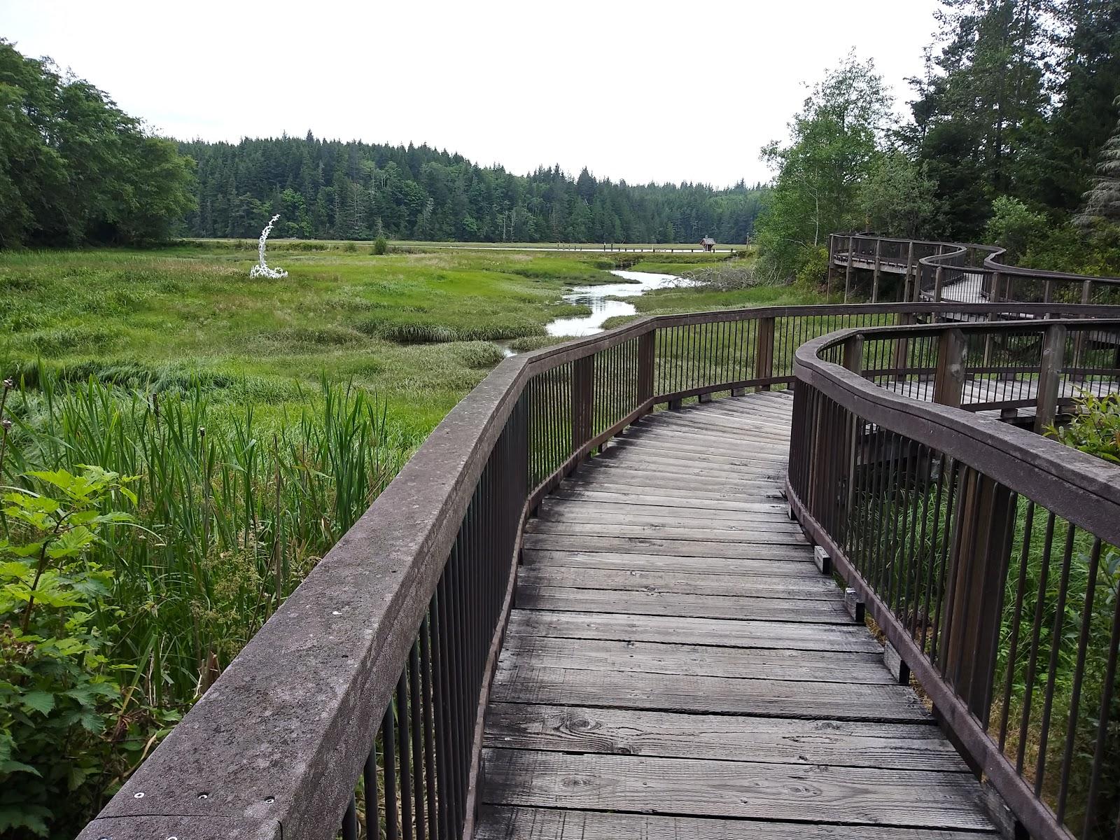 Sandee Long Island Unit, Willapa Nwr