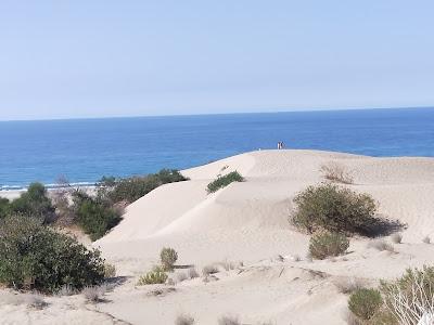 Sandee - Patara Beach