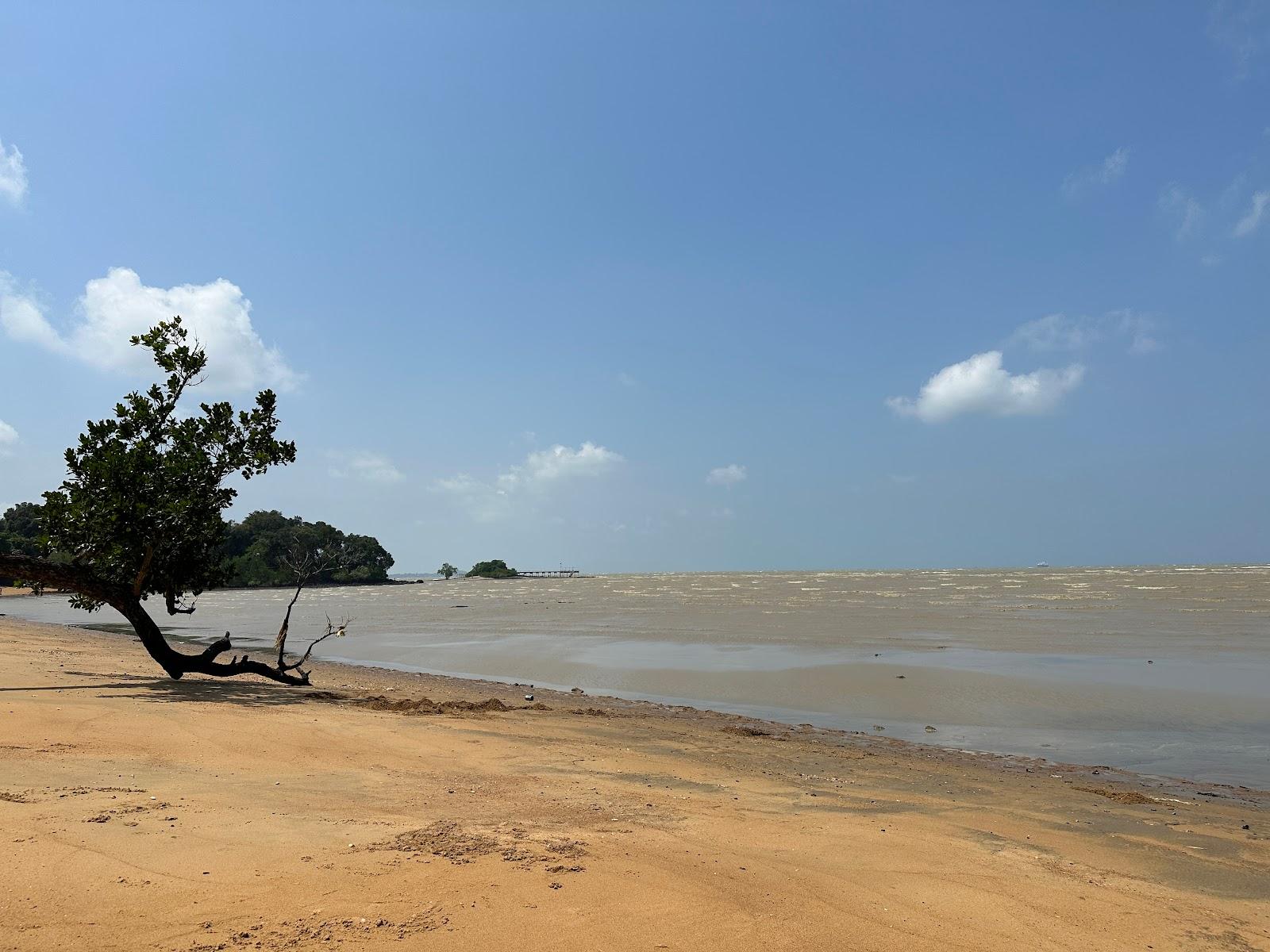 Sandee Pantai Siput Jalan Bumi Hijau Photo