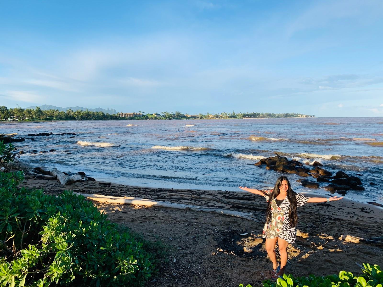 Sandee - Lydgate Beach Park