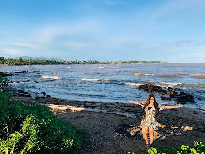 Sandee - Lydgate Beach Park