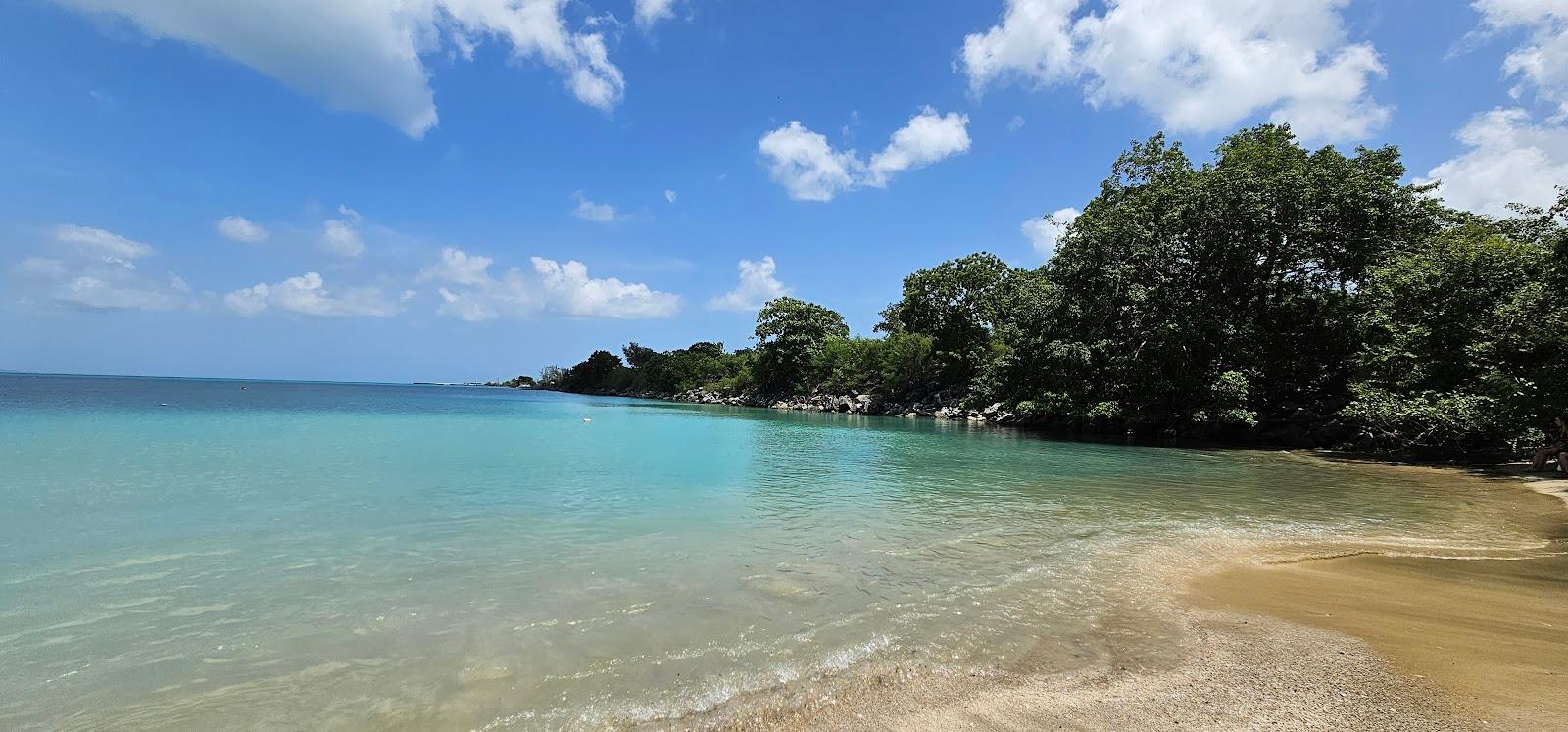 Isla de Vieques Photo - Sandee