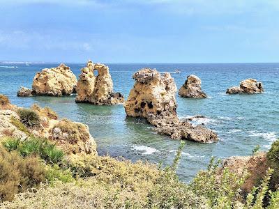 Sandee - Praia Dos Arrifes