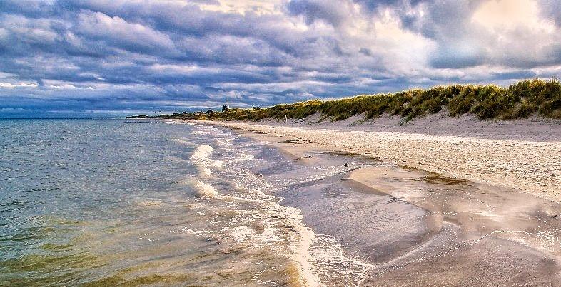 Sandee Jerup Strand