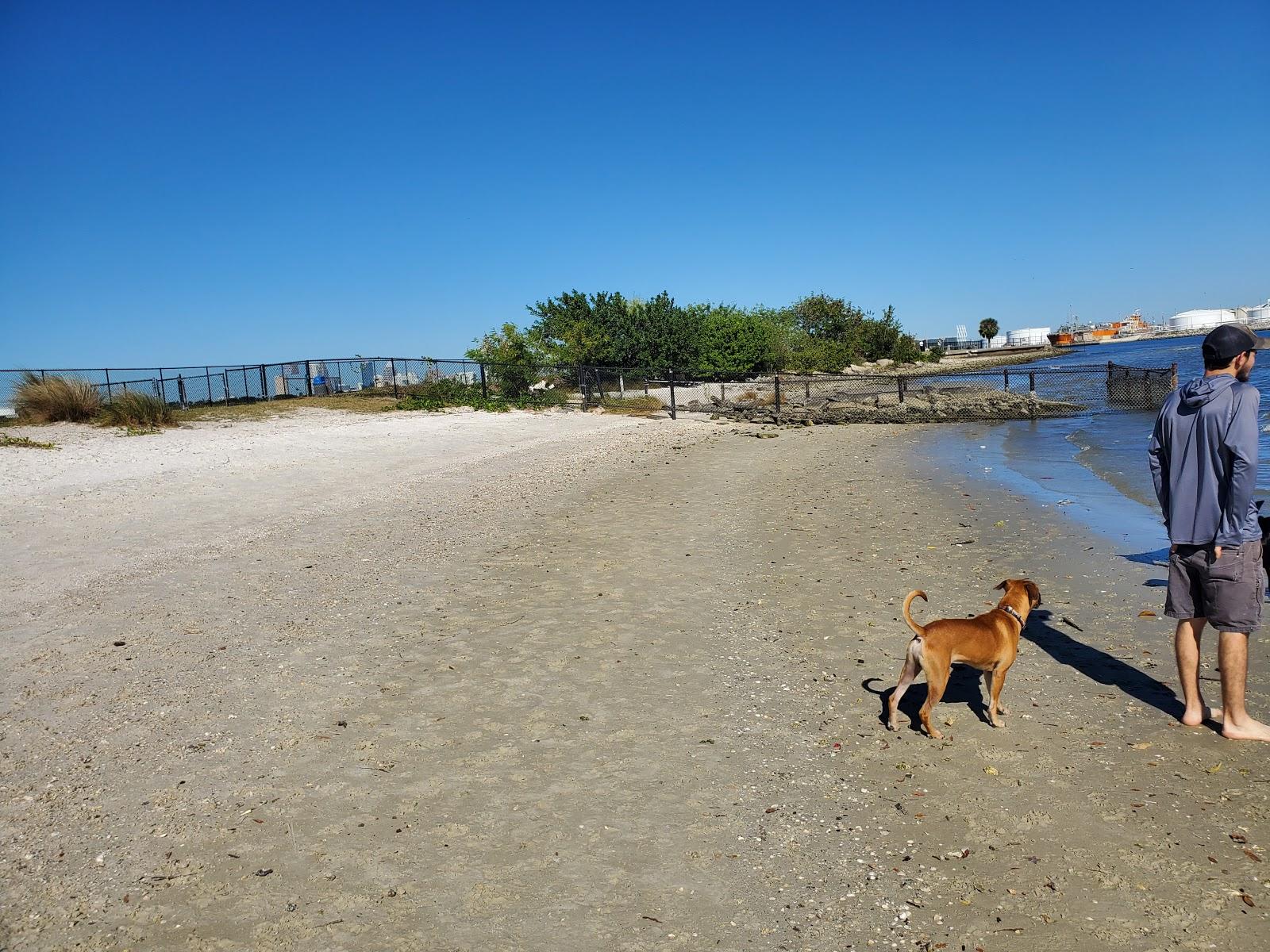 Sandee - Davis Island Dog Beach