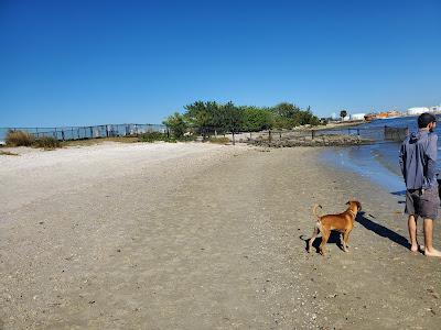 Sandee - Davis Island Dog Beach