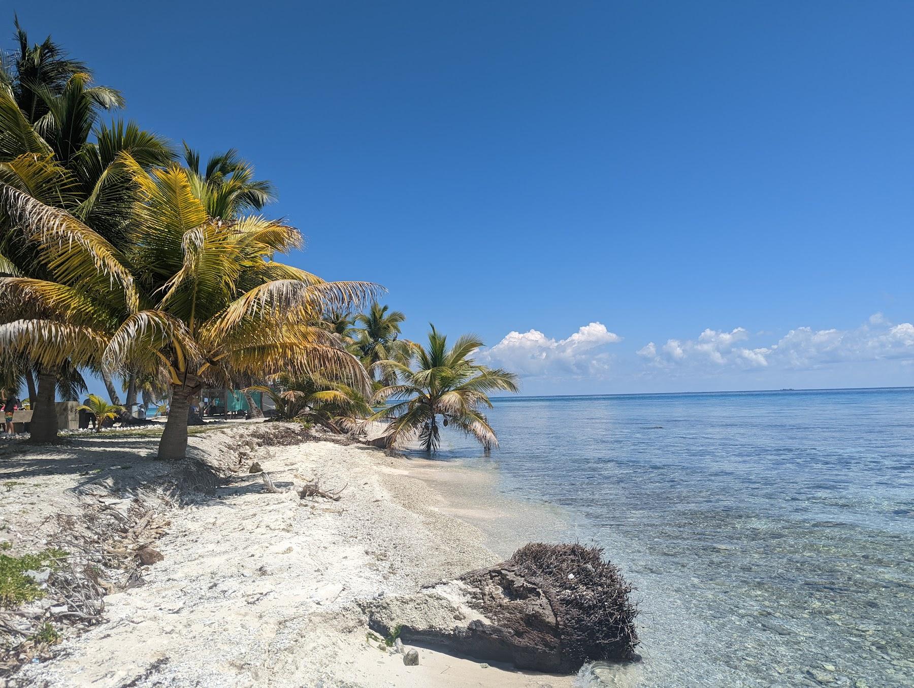 Sandee Laughing Bird Caye Photo