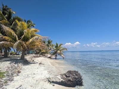 Sandee - Laughing Bird Caye