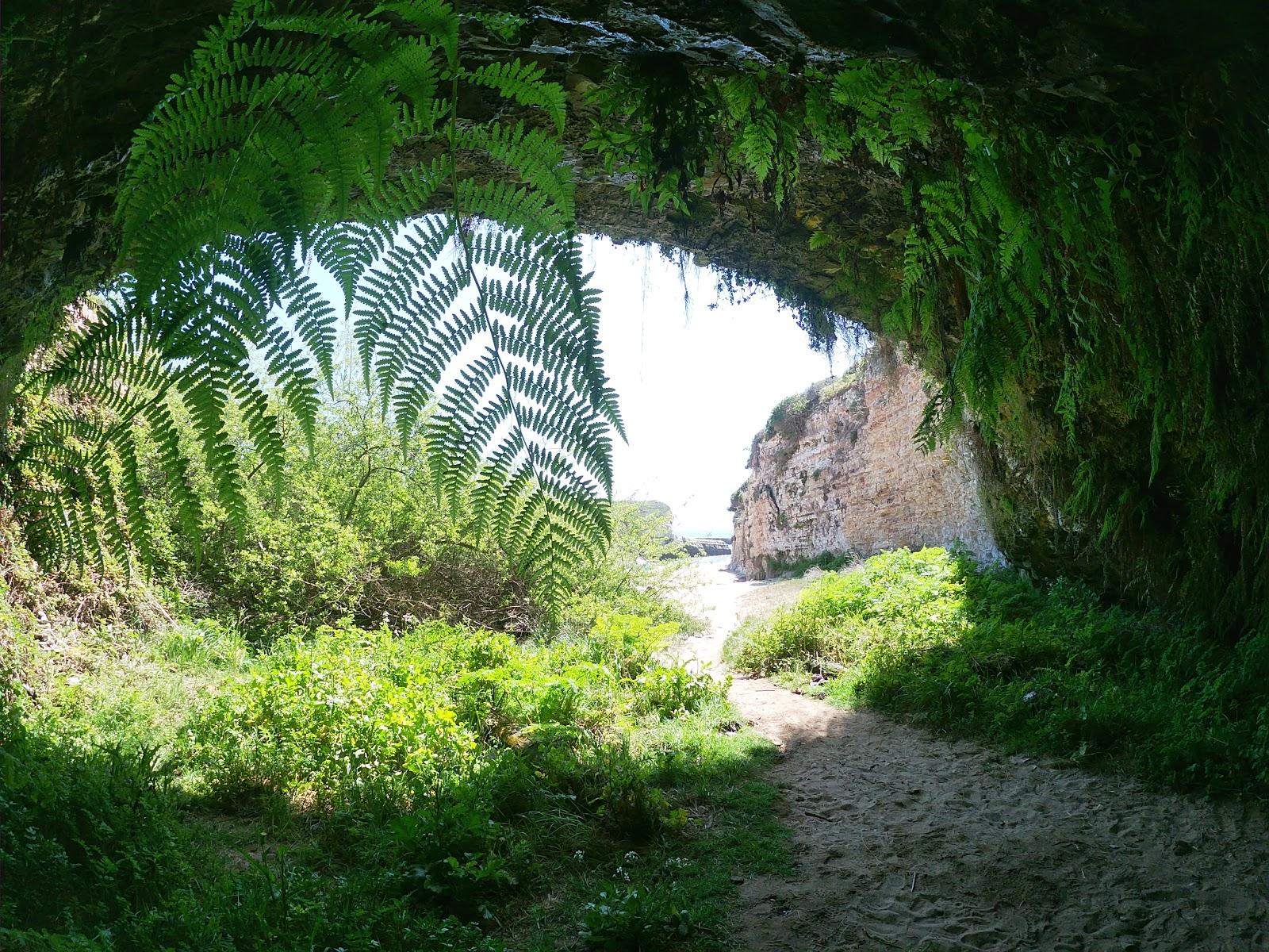 Sandee - Wilder Ranch State Park - Fern Grotto Beach