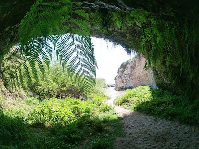 Sandee - Wilder Ranch State Park - Fern Grotto Beach