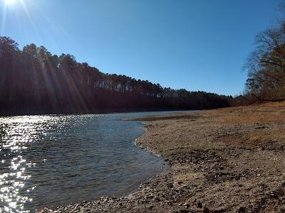 Sandee - Amity Park - Blue Gill Way