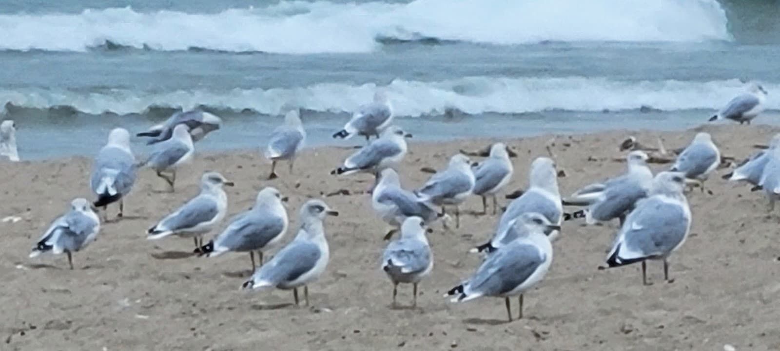 Sandee North Side Municipal Beach Photo