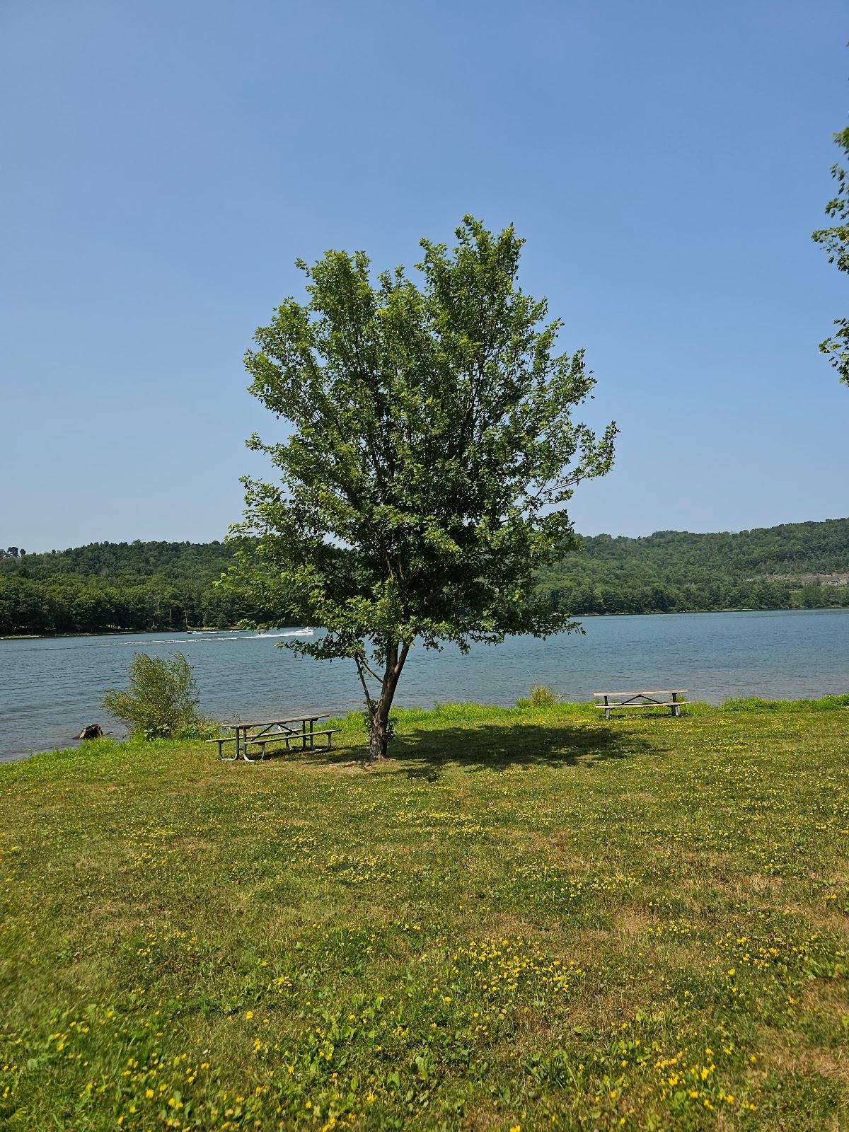 Sandee - Cowanesque Lake Recreation Area