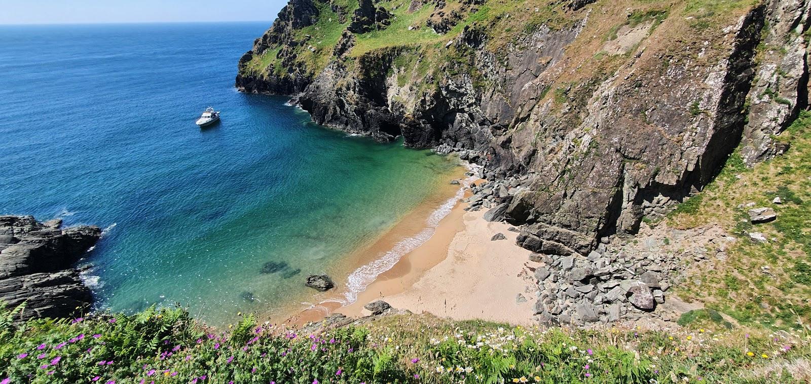 Sandee Maceley Cove