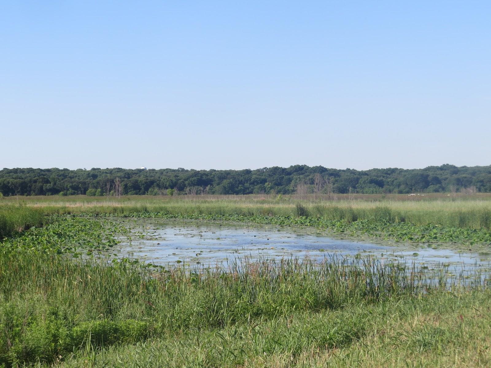 Sandee - Sand Beach Wetlands Conservation Area