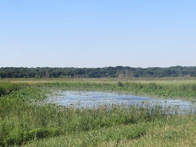 Sandee - Sand Beach Wetlands Conservation Area